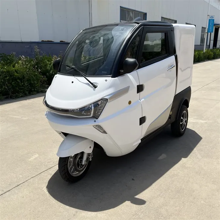 Mini Electric Van Refrigeration Cargo Tricycle For Sale