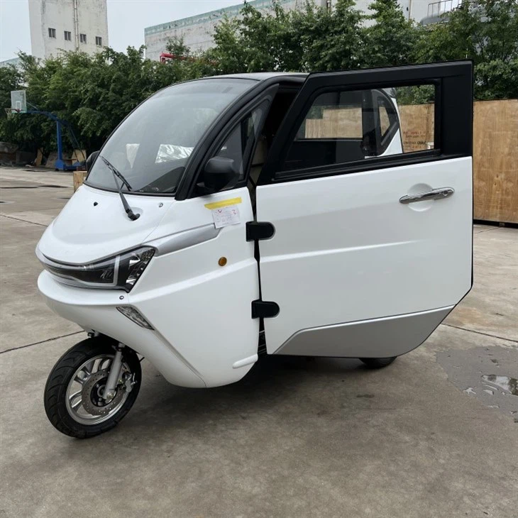 Low Price Low Speed Three Wheel Cabin Motorcycle For Sale