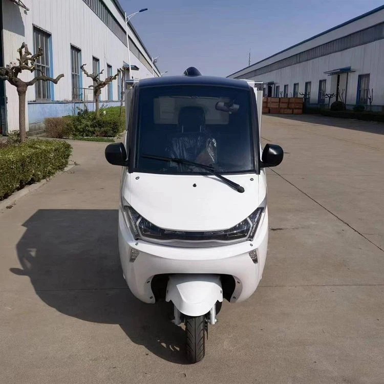 Mini Electric Cargo Delivery Car Mini Electric Cargo Delivery Car