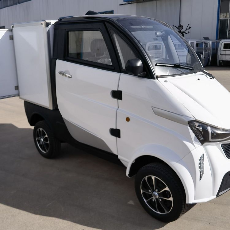 Mini Electric Transport Vehicle