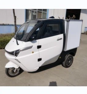 Mini Electric Truck Without Driving Licence Good Quality Closed Cargo Tricycle