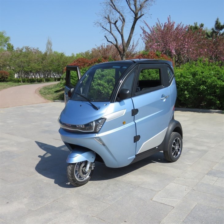 3 Wheel Tricycle Mini EEC Travel Tools Three Wheel Electric Scooter