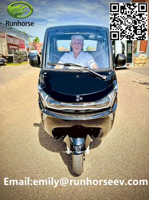 3 Wheel Tricycle Mini EEC Travel Tools Three Wheel Electric Scooter