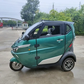 Electric Vehicle Three Wheels Adults Car