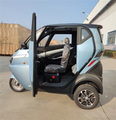 Авто мини-электрический трехколесный велосипед EEC Mini Car
